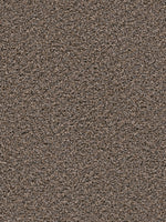 Load image into Gallery viewer, Dwellings FLAMBOYANT
