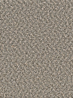 Load image into Gallery viewer, Dwellings DONNELLY
