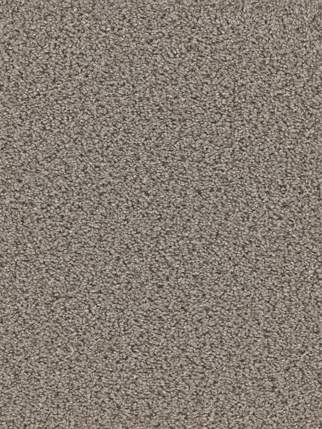 Dwellings GROUNDWORK