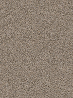 Load image into Gallery viewer, Dwellings CAPELLA II
