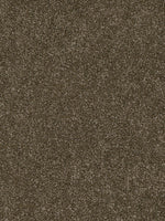 Load image into Gallery viewer, Dwellings CITARA II
