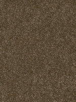 Load image into Gallery viewer, Dwellings CITARA I
