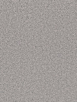 Load image into Gallery viewer, Dwellings GROUNDWORK PLUS
