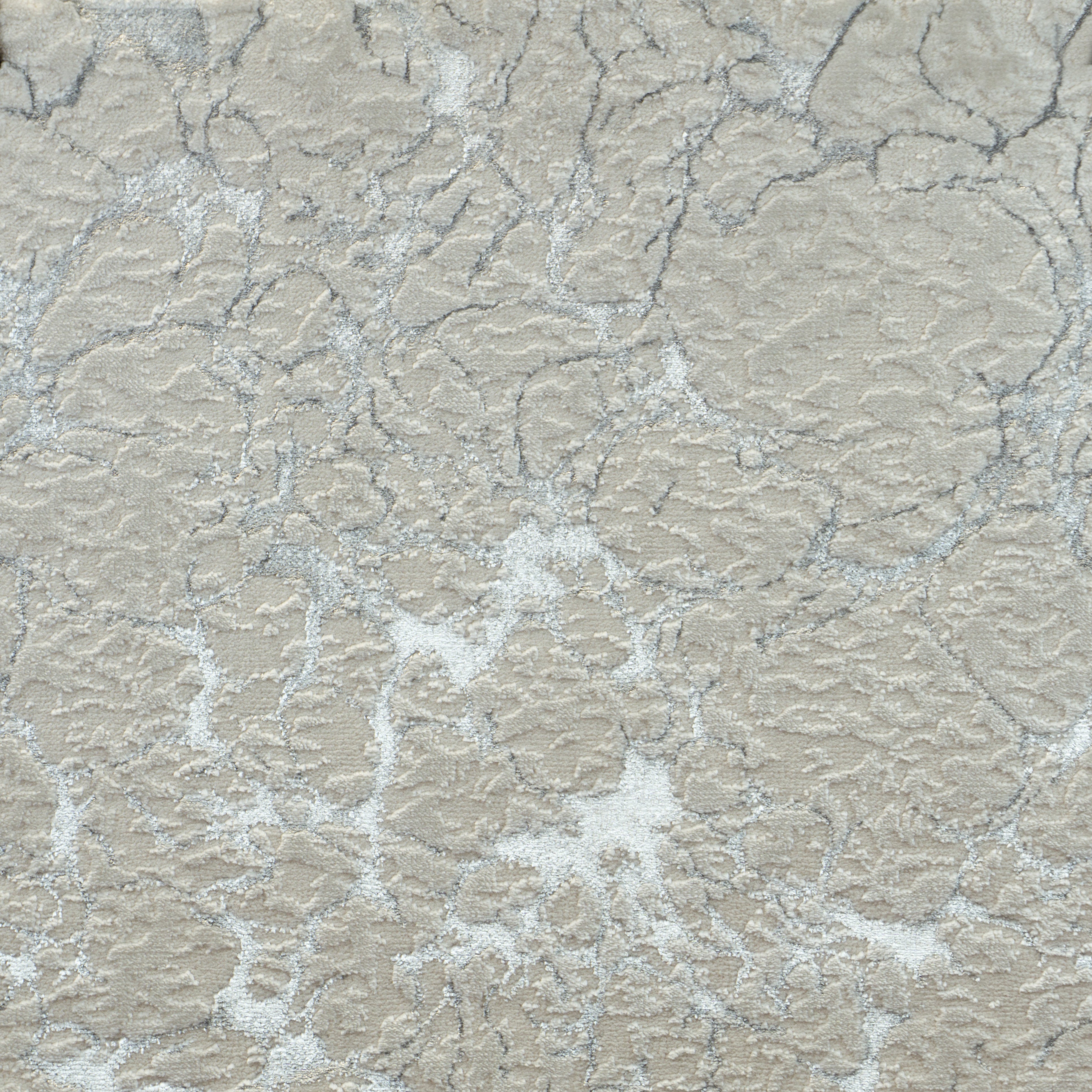 Kane Carpet : Entranced