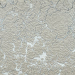 Load image into Gallery viewer, Kane Carpet : Entranced
