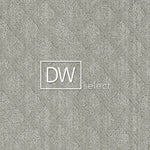 Load image into Gallery viewer, DW Select PLAZA
