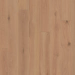 Load image into Gallery viewer, Dwellings BENTON HARBOR
