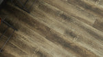Load image into Gallery viewer, Dwellings GREAT BEAR - ROMAN REFLECTIONS

