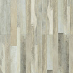 Load image into Gallery viewer, Dwellings GREAT BEAR - VENICE
