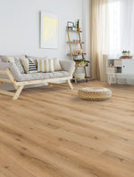 Load image into Gallery viewer, EF Multifamily ANETO - ACADIA
