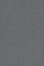 Load image into Gallery viewer, Commercial Carpet (ST)
