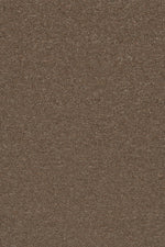 Load image into Gallery viewer, Commercial Carpet (ST)
