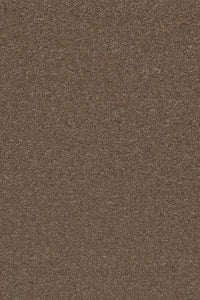 Commercial Carpet (ST)