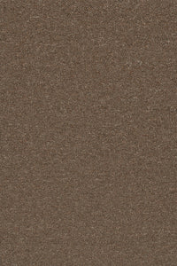 Commercial Carpet (ST)