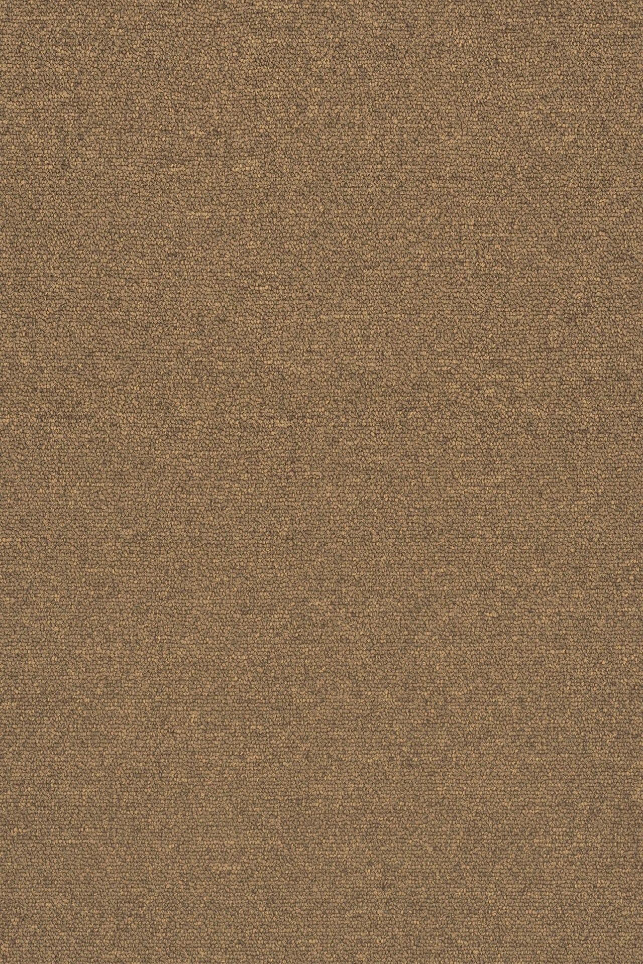 Commercial Carpet (ST)