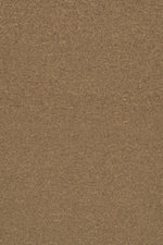 Load image into Gallery viewer, Commercial Carpet (ST)
