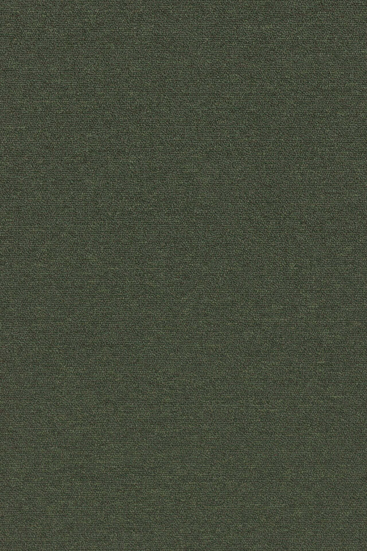 Commercial Carpet (ST)
