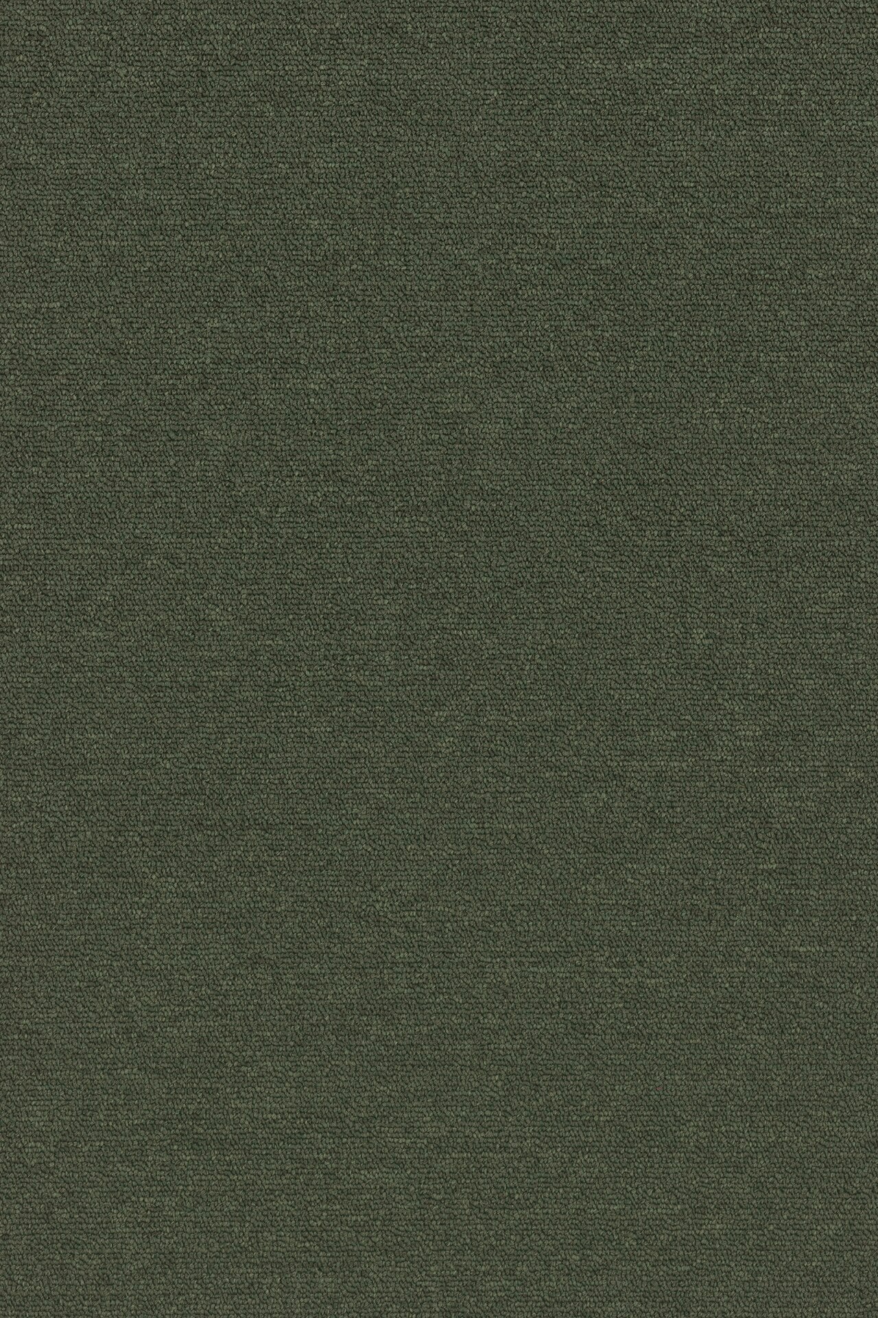 Commercial Carpet (ST)