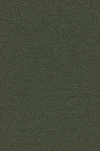 Commercial Carpet (ST)