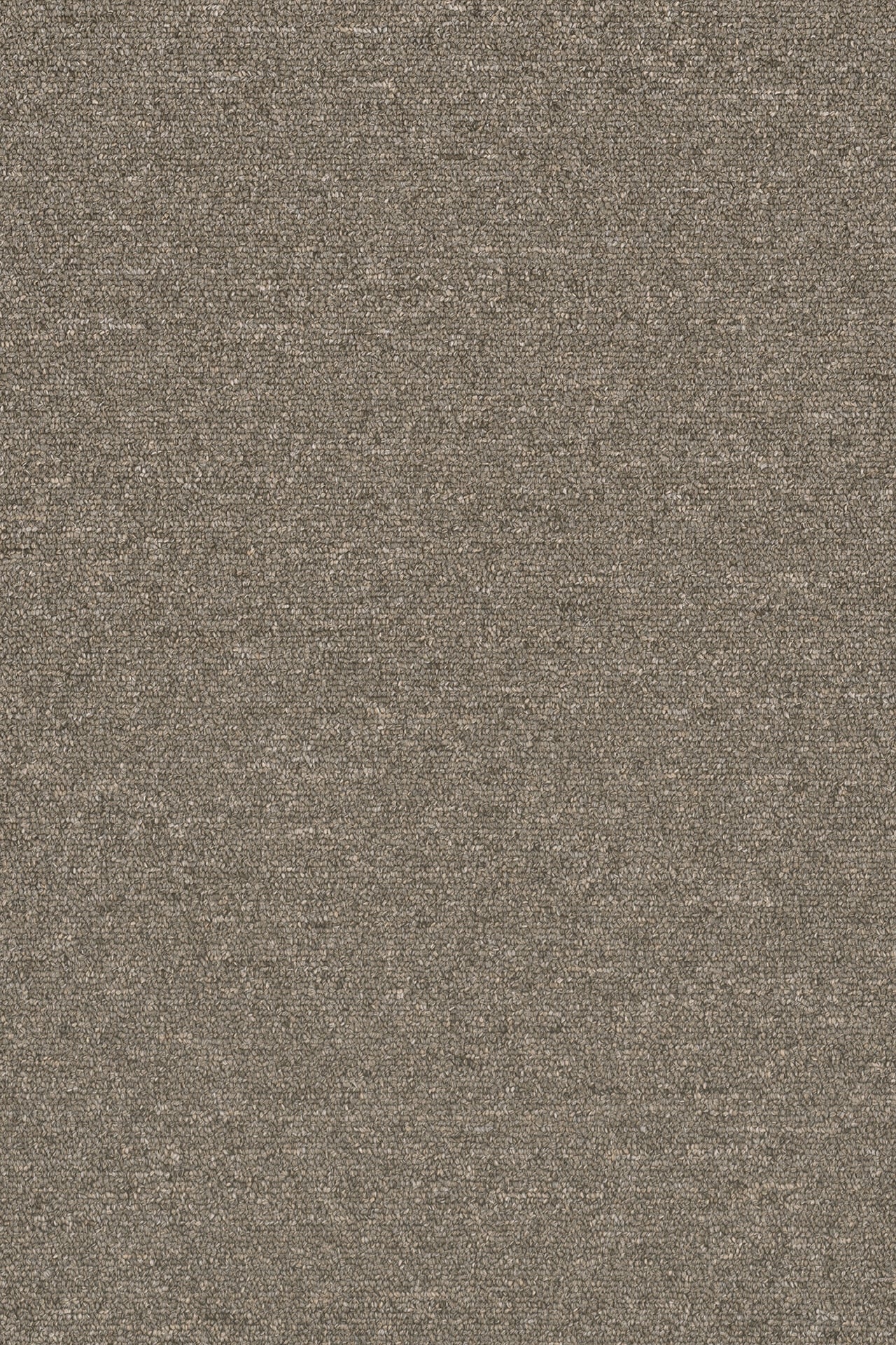 Commercial Carpet (ST)