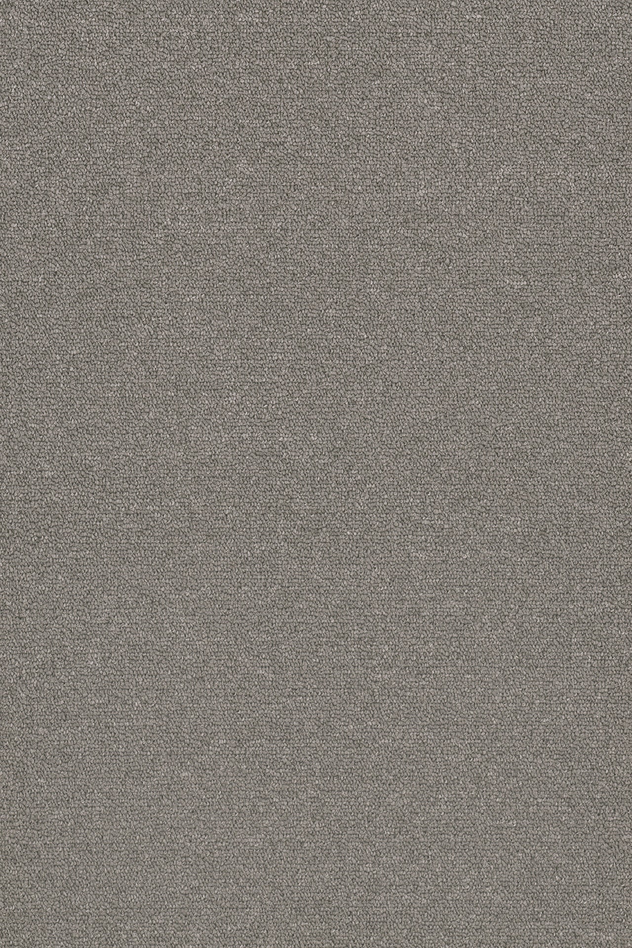 Commercial Carpet (ST)