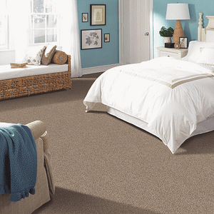 Mohawk Achiever Carpet