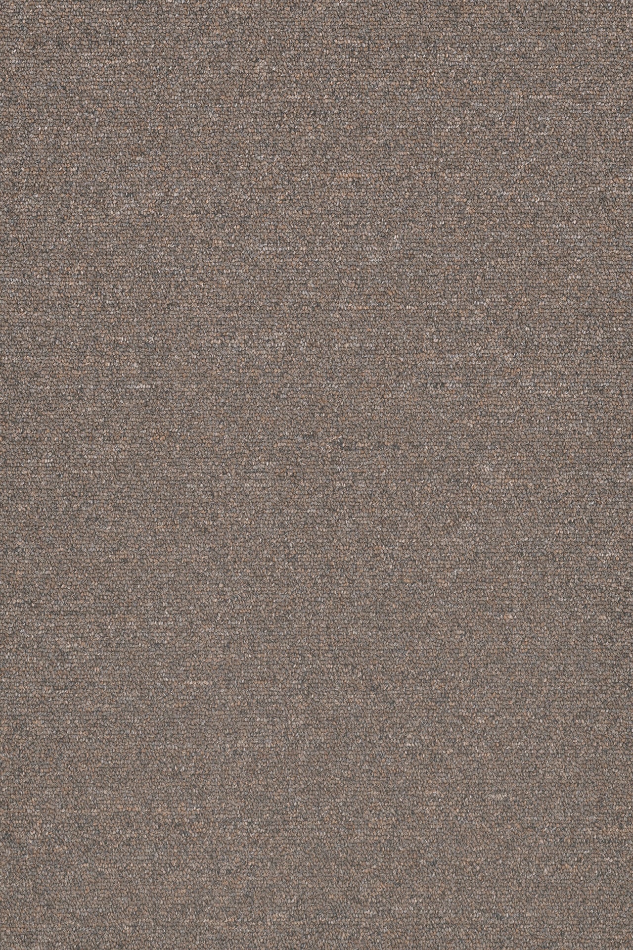 Commercial Carpet (ST)