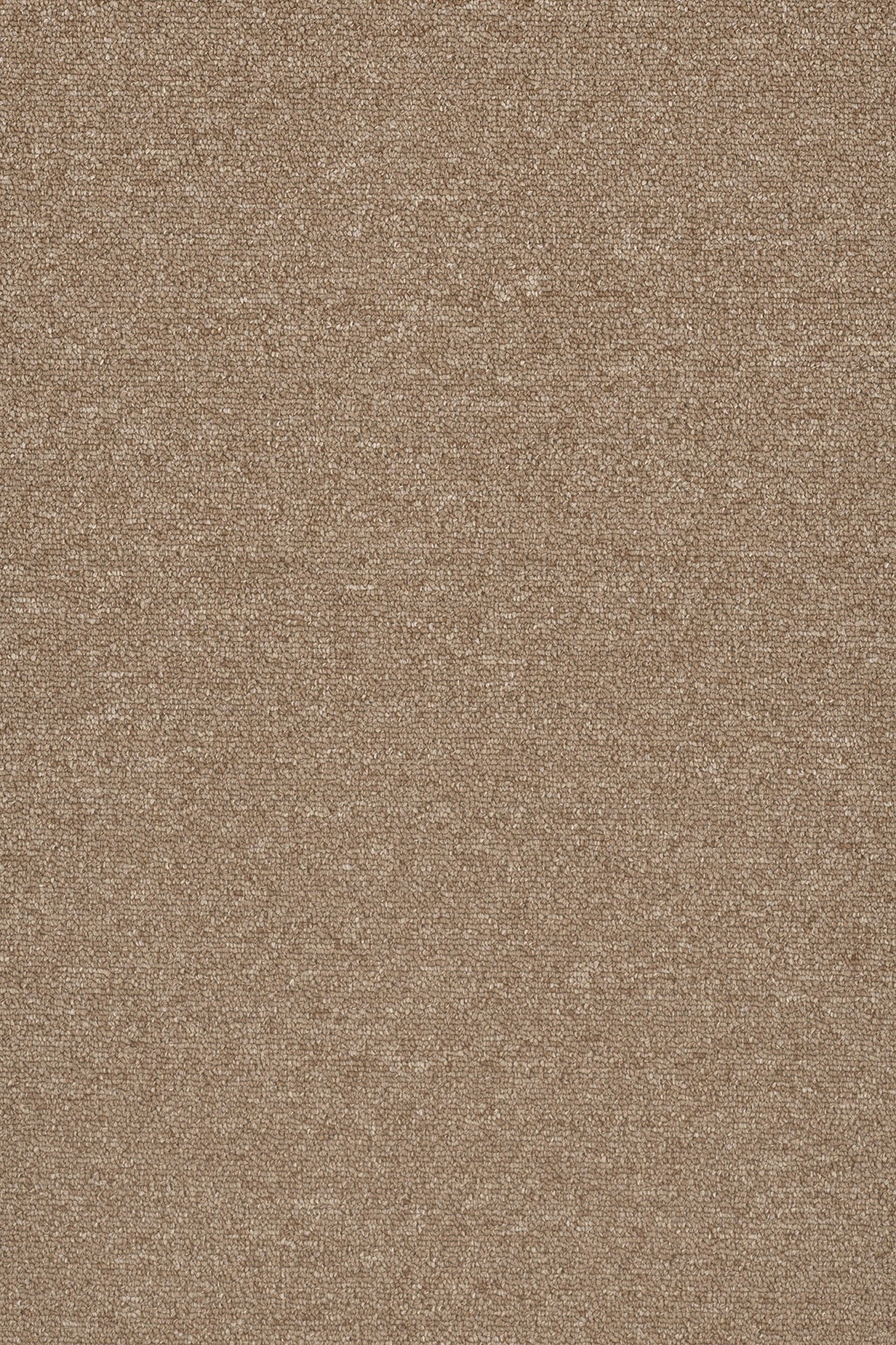 Commercial Carpet (ST)