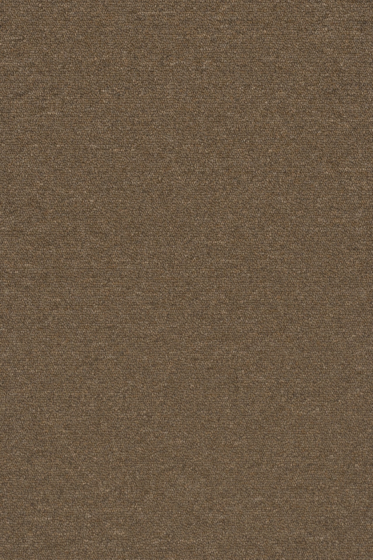 Commercial Carpet (ST)